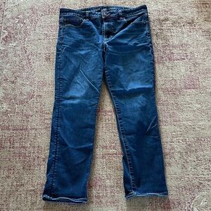 American Eagle Outfitters Dark Blue Skinny Jeans 14 short